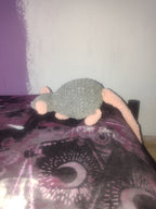 Rat