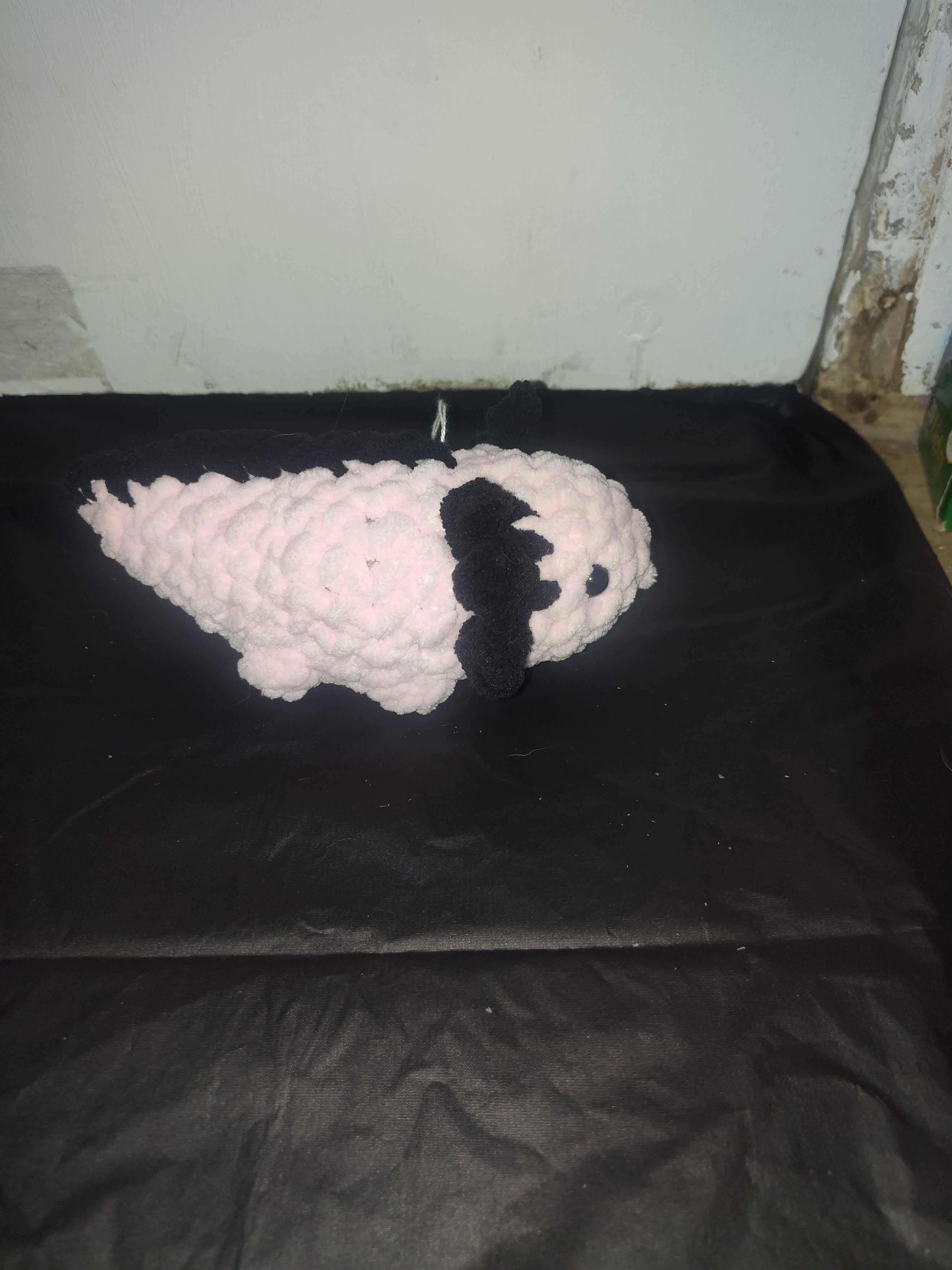 Axolotls
