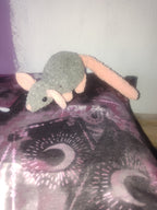 Rat
