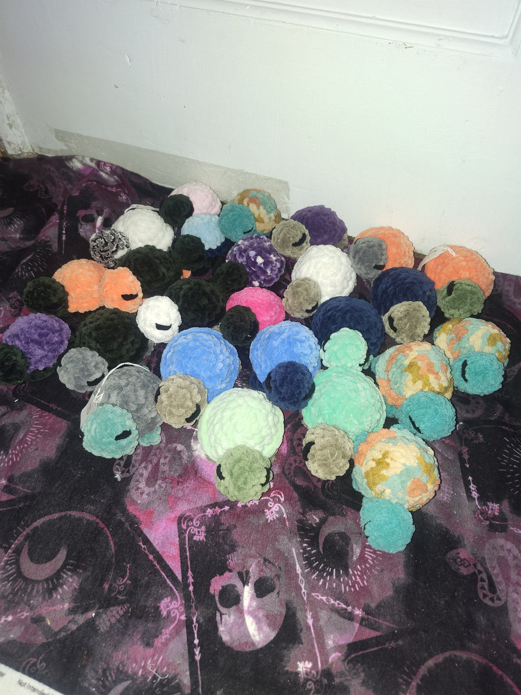 Tortoise