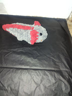 Axolotls