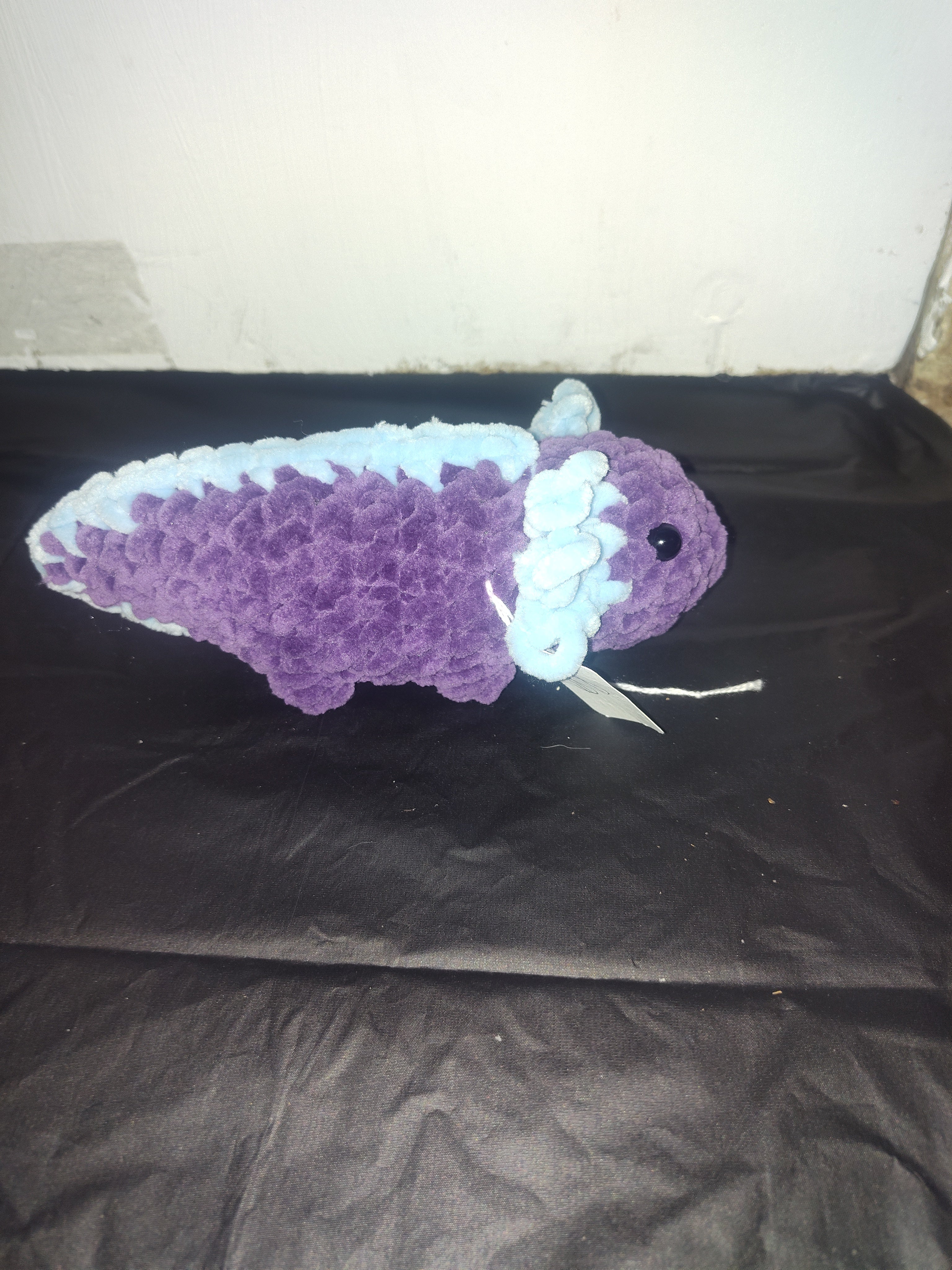 Axolotls